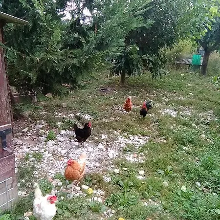 Ai Ciliegi